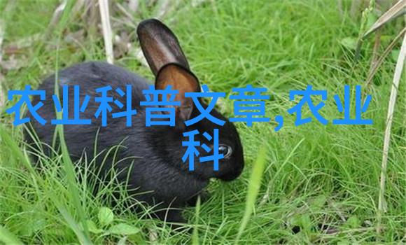 主题我是如何用皮带机变身成超级理发师的