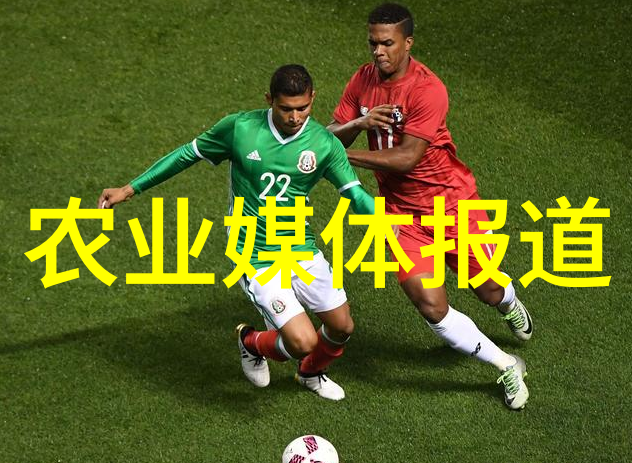 中国农业机械化水平-从落后到领先中国农业机械化水平的飞速进步与未来展望