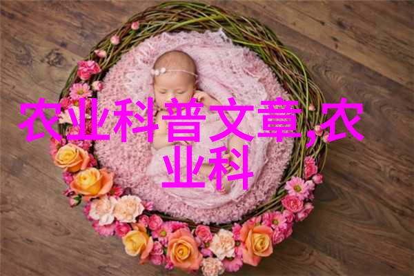 多肉植物爱好者我的1000种多肉宠儿图鉴揭秘它们的奇迹