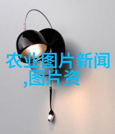 如何挑选那些既美观又易于养护的小院植物