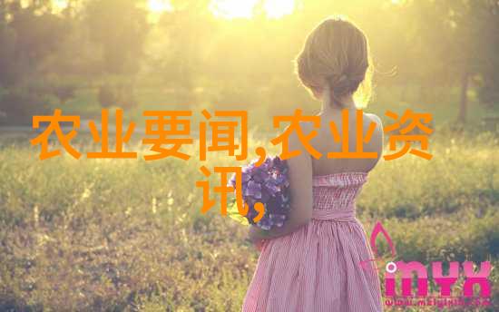 探索茶叶的古老足迹从中国传统到世界文化交融