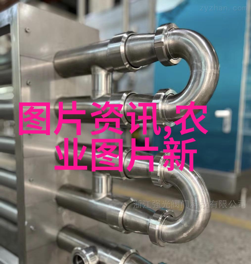 认识不同地区的特色茶饮从日本抹茶到印度查亚品味世界各地风情