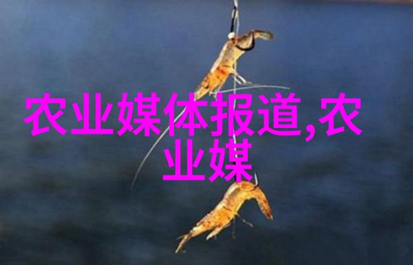 庭院种什么花最旺宅我家后院的花园变成了香气飘逸的奇迹地带
