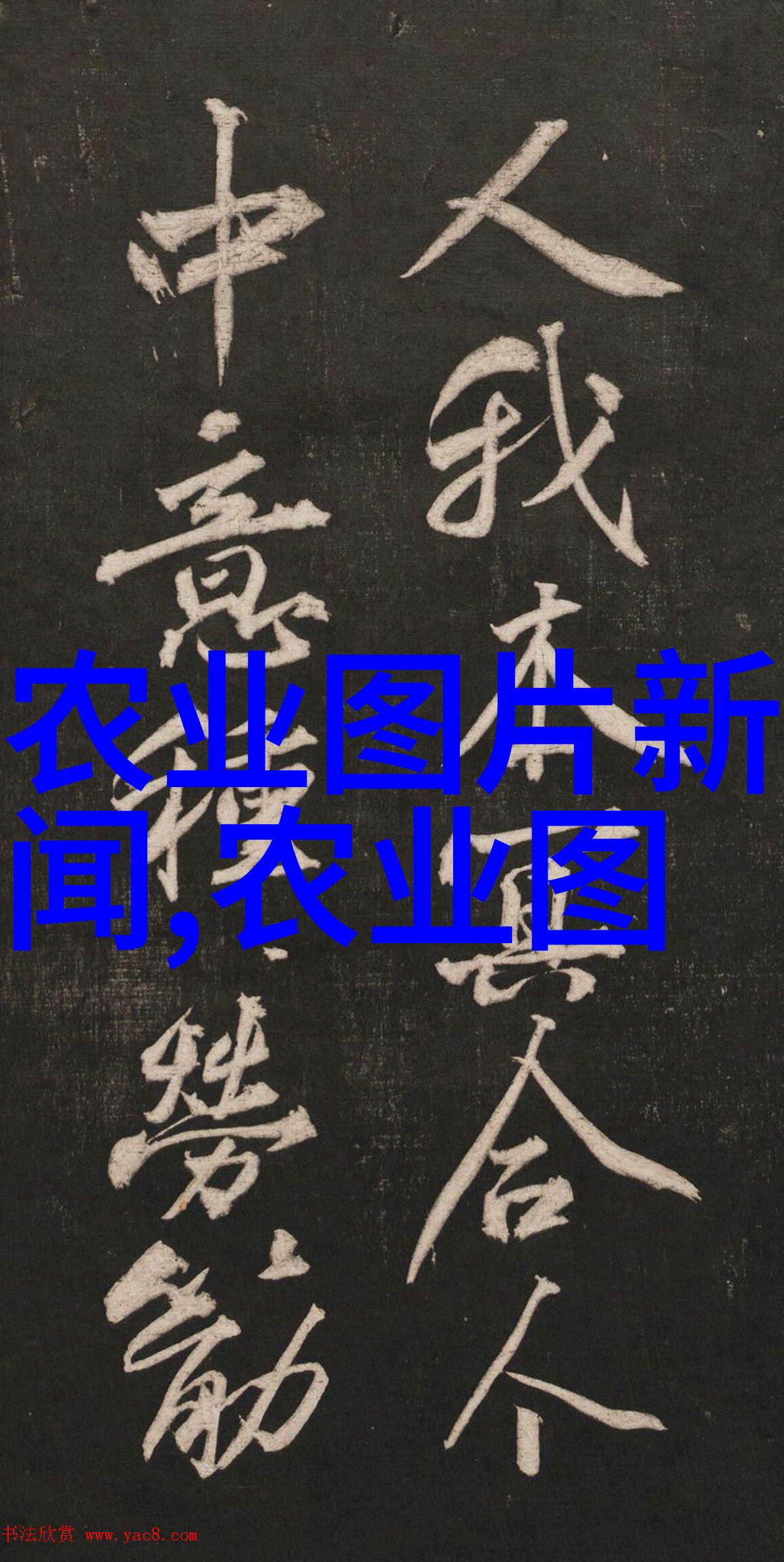 茶艺与女性美-温柔品味适合女性的茶叶推荐指南