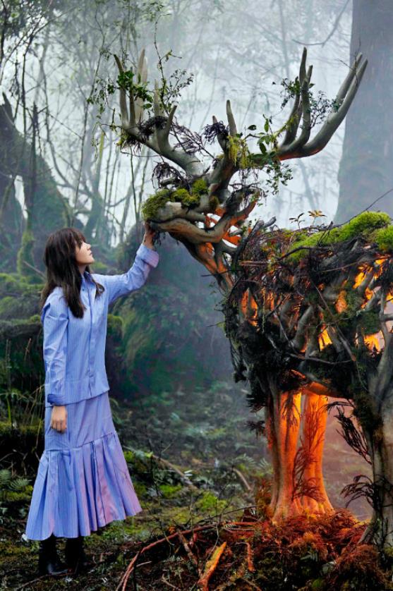 花卉种植技巧选择合适的土壤和肥料