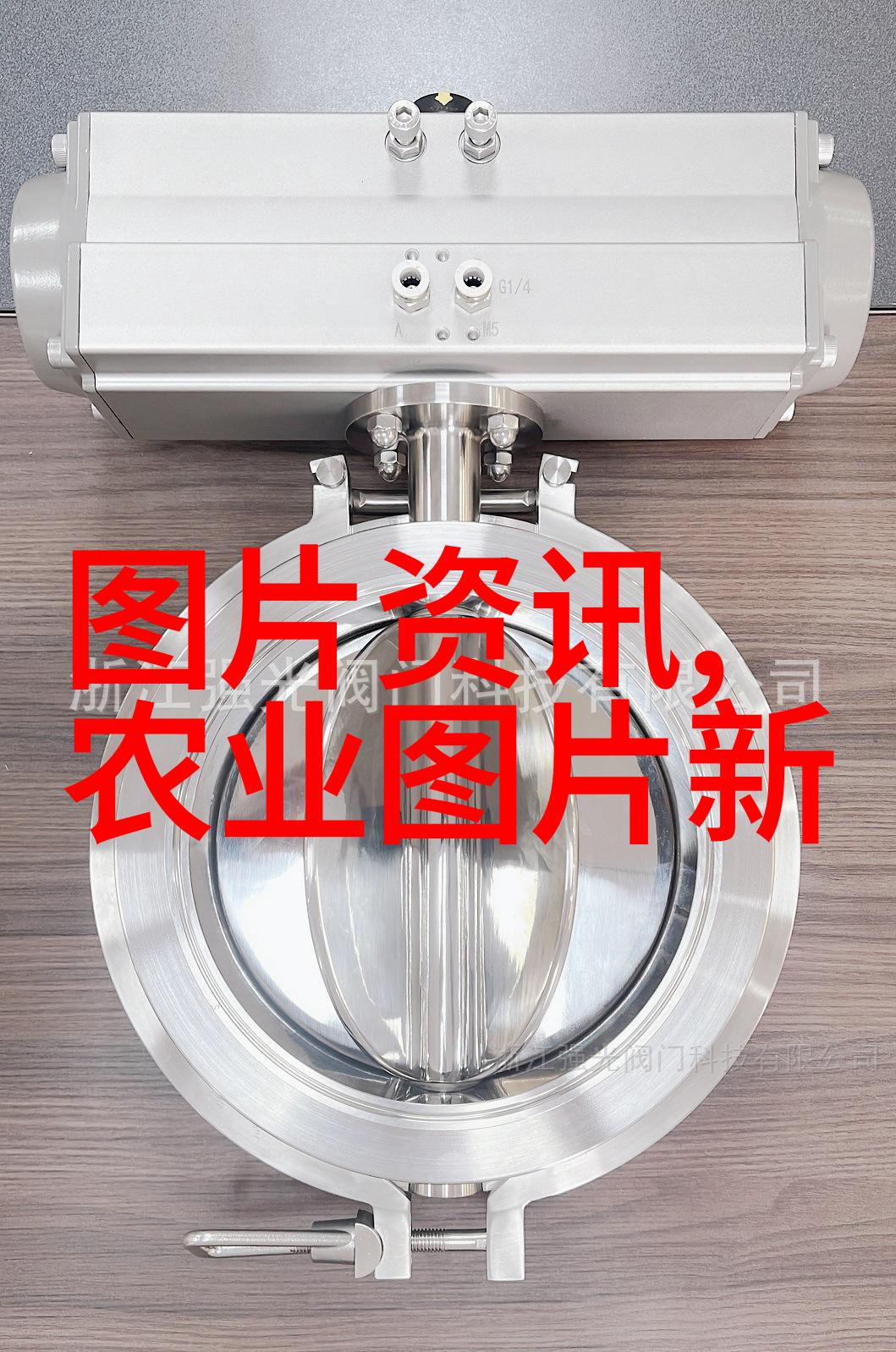 探索苗木求购网站大全下载是否能带来绿意盎然的改变