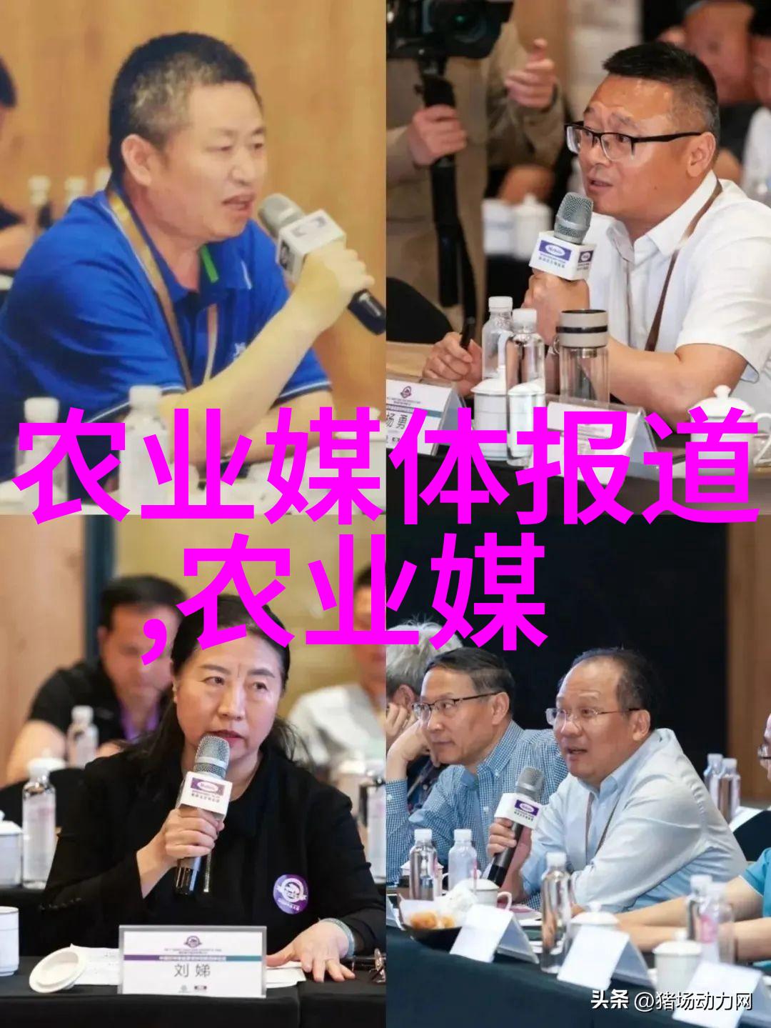 猪圈的故事一场与自然和谐共存的探险