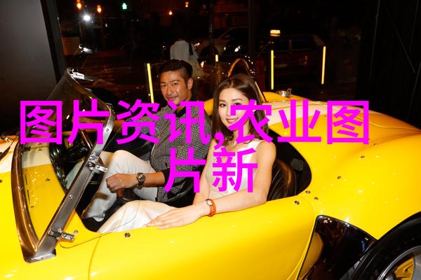 家庭花卉盆栽亲手种植的温馨小秘密花园