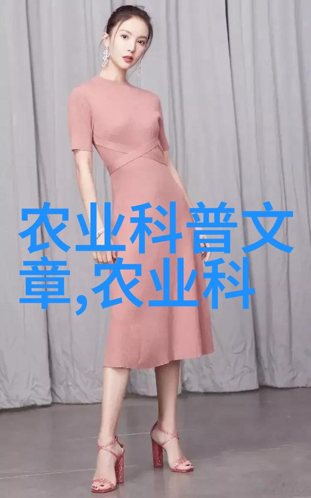 水旱两用耕田机革命性的农业技术