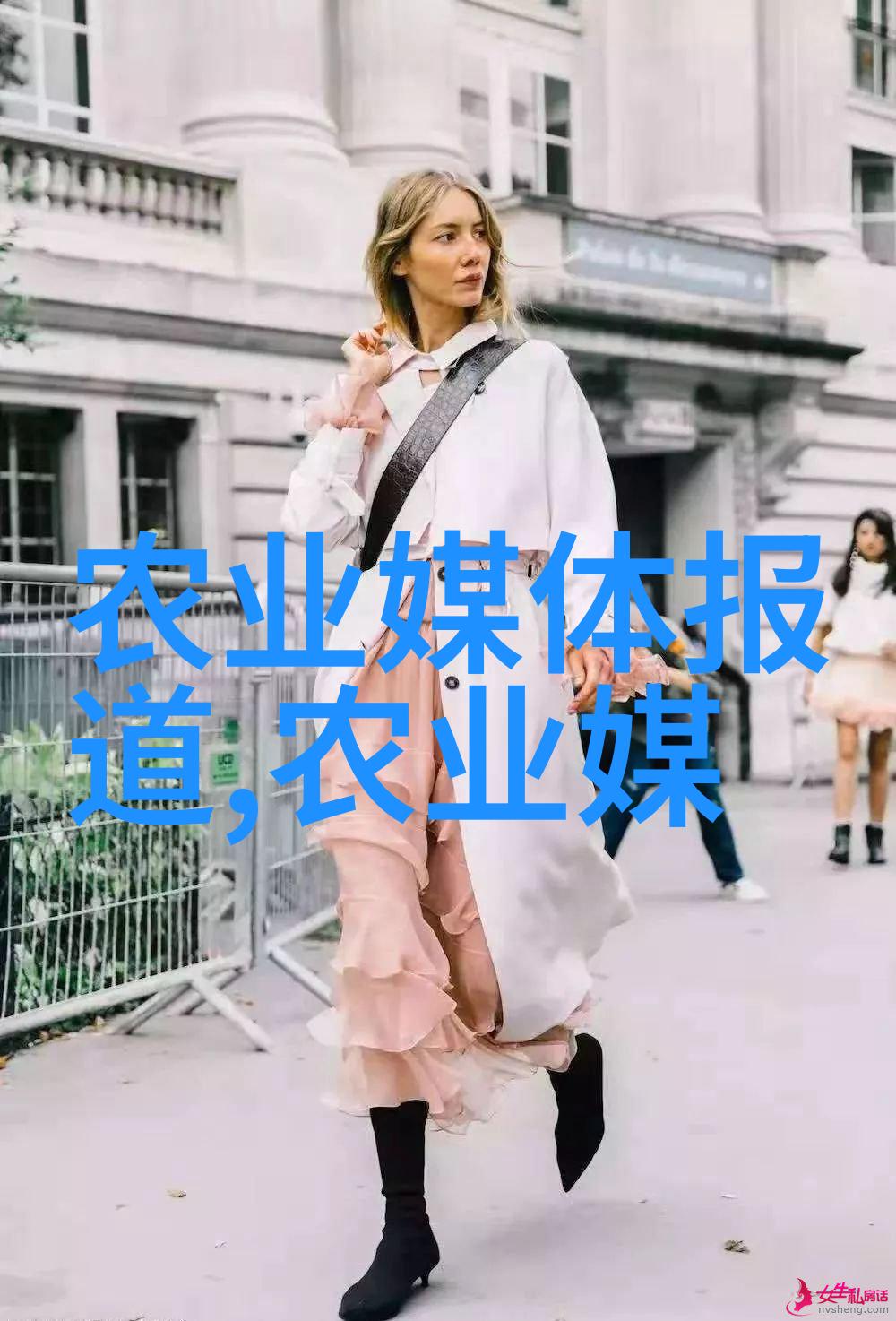 茶香迷失揭秘古老品种的神秘分类