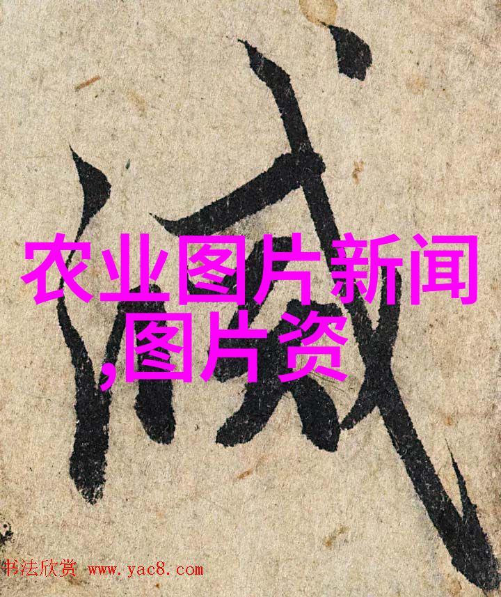中国茶文化的古老根源探究