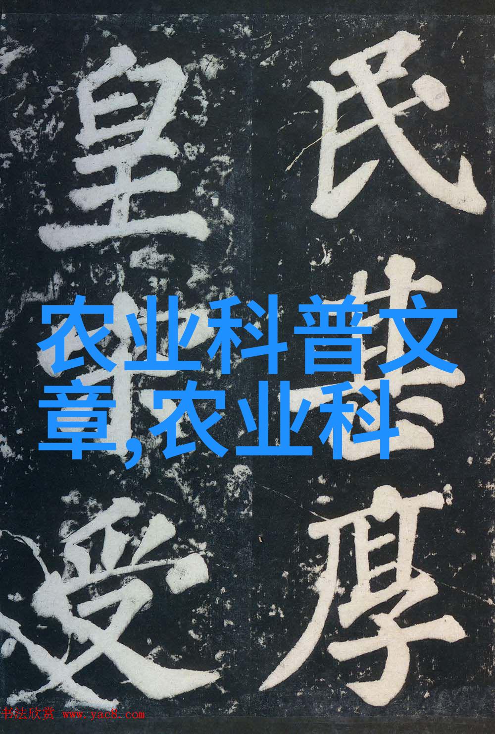 养殖技术顾问杂志精准饲料配比的艺术与科技革新