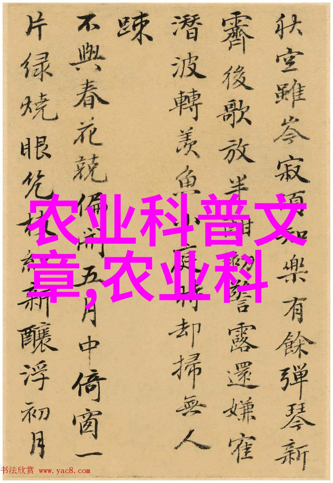 翠绿缤纷甘蓝菜的营养价值与烹饪技巧