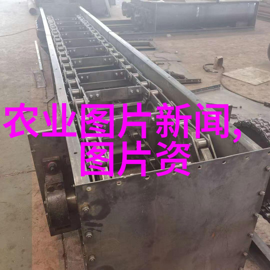 蜂群管理与产量提升策略