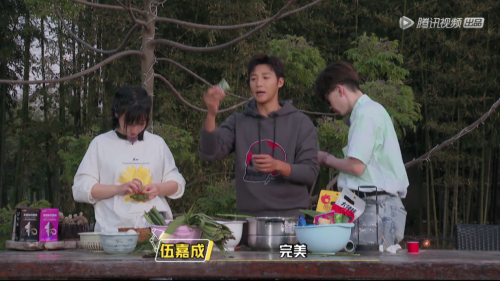 宠物玉米种植指南在家中也能成功栽培玉米的小窍门