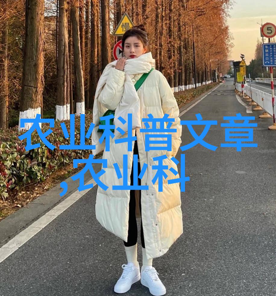 白糖如何影响5脾蜂的冬季养护