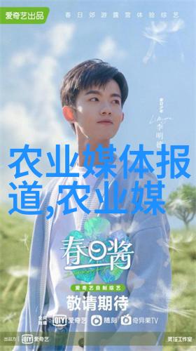 多年生花卉的魅力品种探索与园艺技巧