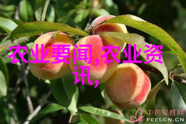 水泥搅拌车建筑工地的强大助手