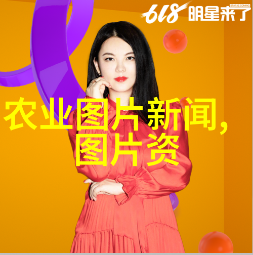 镜中人情愫的反射