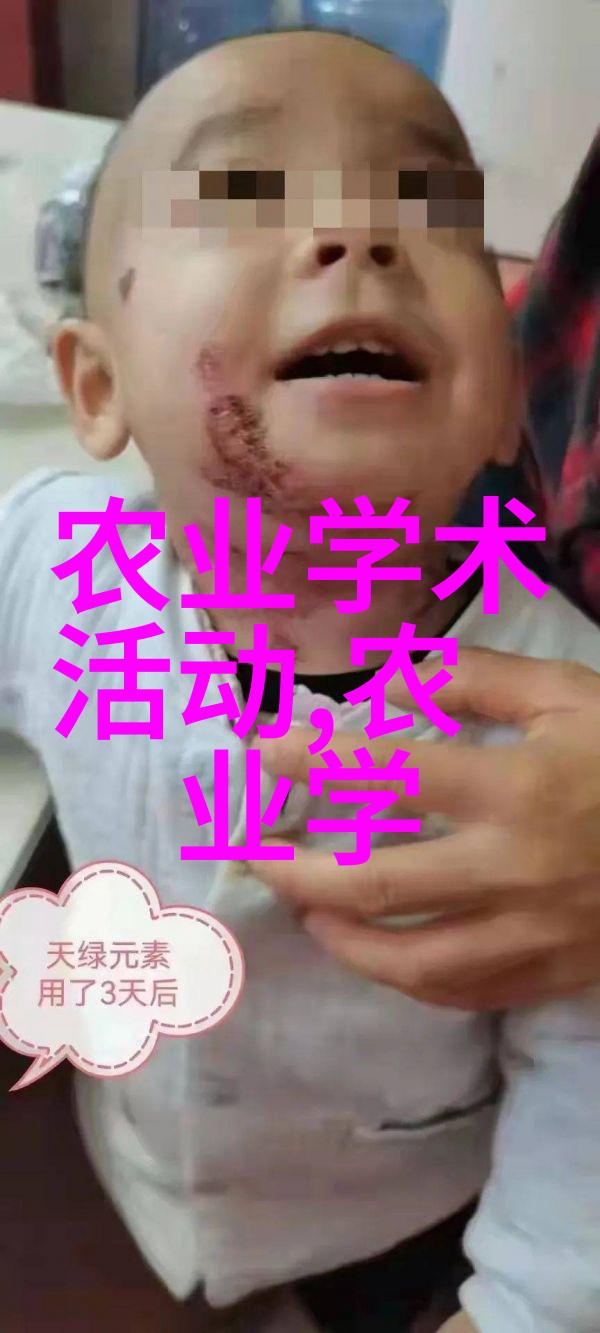 稳健增长的艺术选对了这个领域财富自然而然