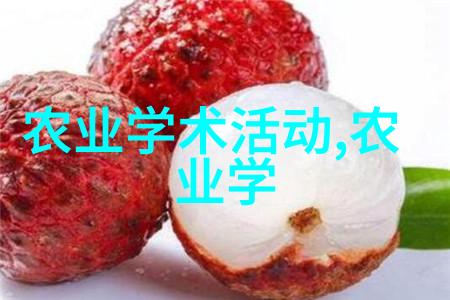 在有限空间中如何进行垂直园艺以增加植物多样性