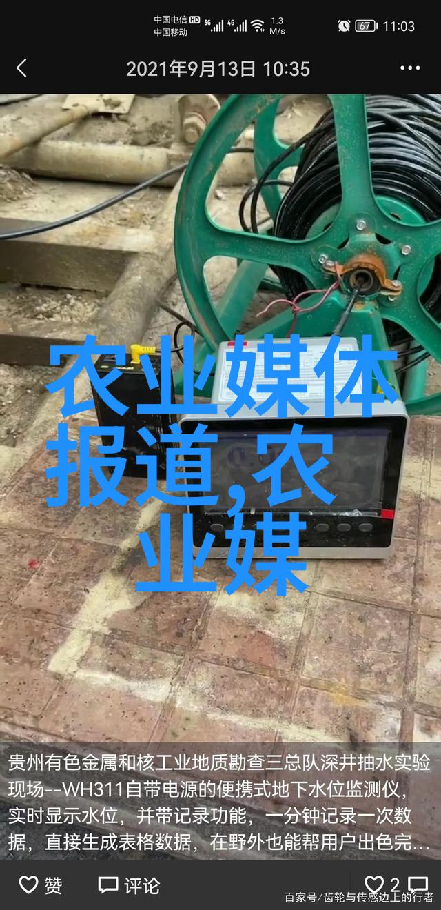 水果籽是哪个子 - 水果的种子之谜解析