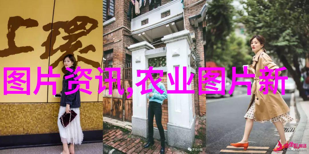 金线莲种植艺术栽培技巧与美丽景观的结合