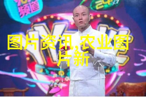 蔬菜之城绿色宝库的现代化盛宴