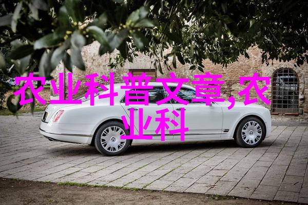 选择优质苗木可靠来源的秘诀