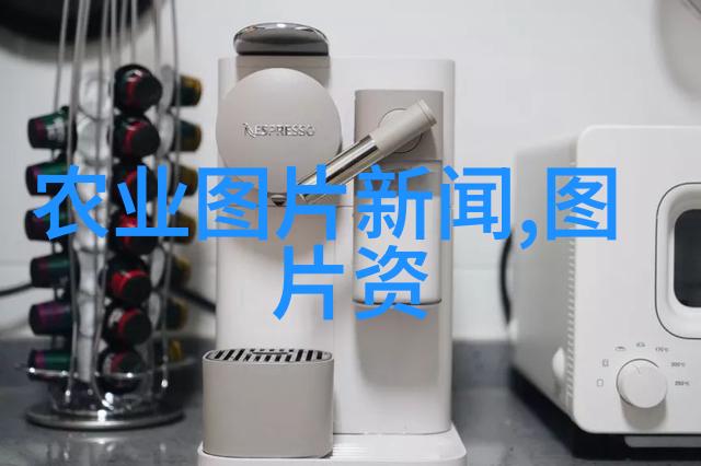 探索花园中的奇迹世界上最美丽的种子品种