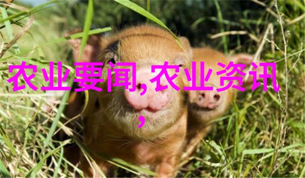 天价草药破解10000元一斤秘密