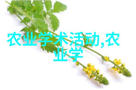 我是茶农我的茶园从种子到香茗的故事
