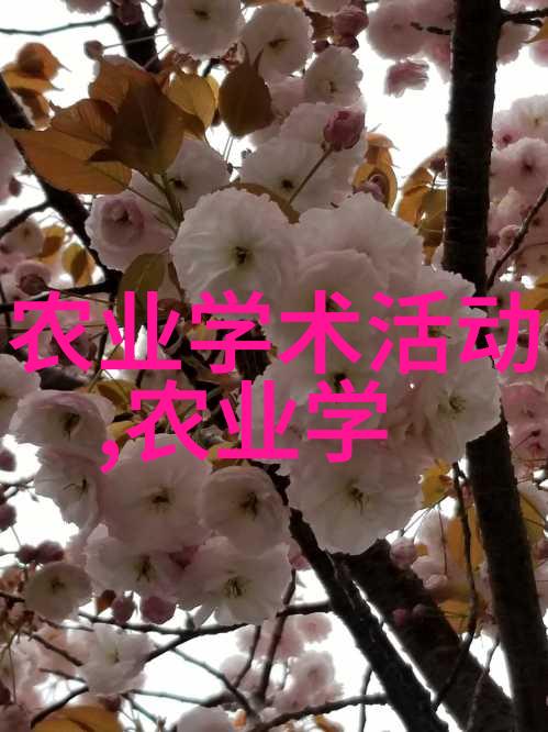 为什么牛圈附近不能养羊-牧场管理之谜揭秘牛羊共存的禁忌