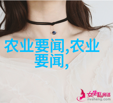 无土水培蔬菜种植我的绿色小天地