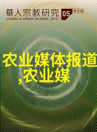 客厅如何布置才能吸引更多金钱和成功之树来生长