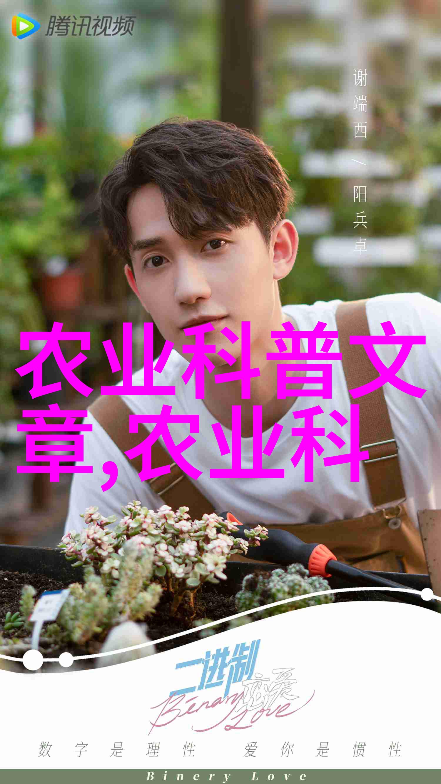 苗木园艺种植报价单绿色生态环境友好型树木采购清单