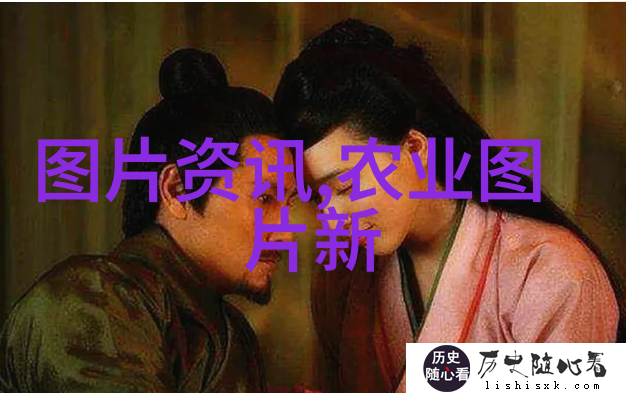 羊毛与肉类销售如何计算养十只母羊一年所获收入