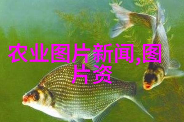 隐秘园丁那些不受人宠的果树背后的秘密