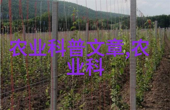 妈妈的新欢五线观察高分辨率