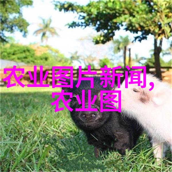 农药知识大全app我是农药小能手你的智能助手