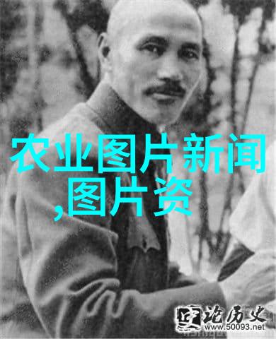 花卉图片大全欣赏-绽放的色彩花卉图片大全欣赏指南