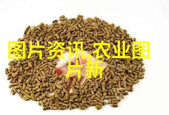 生态共赢生态循环经济开辟新的绿色创业天地