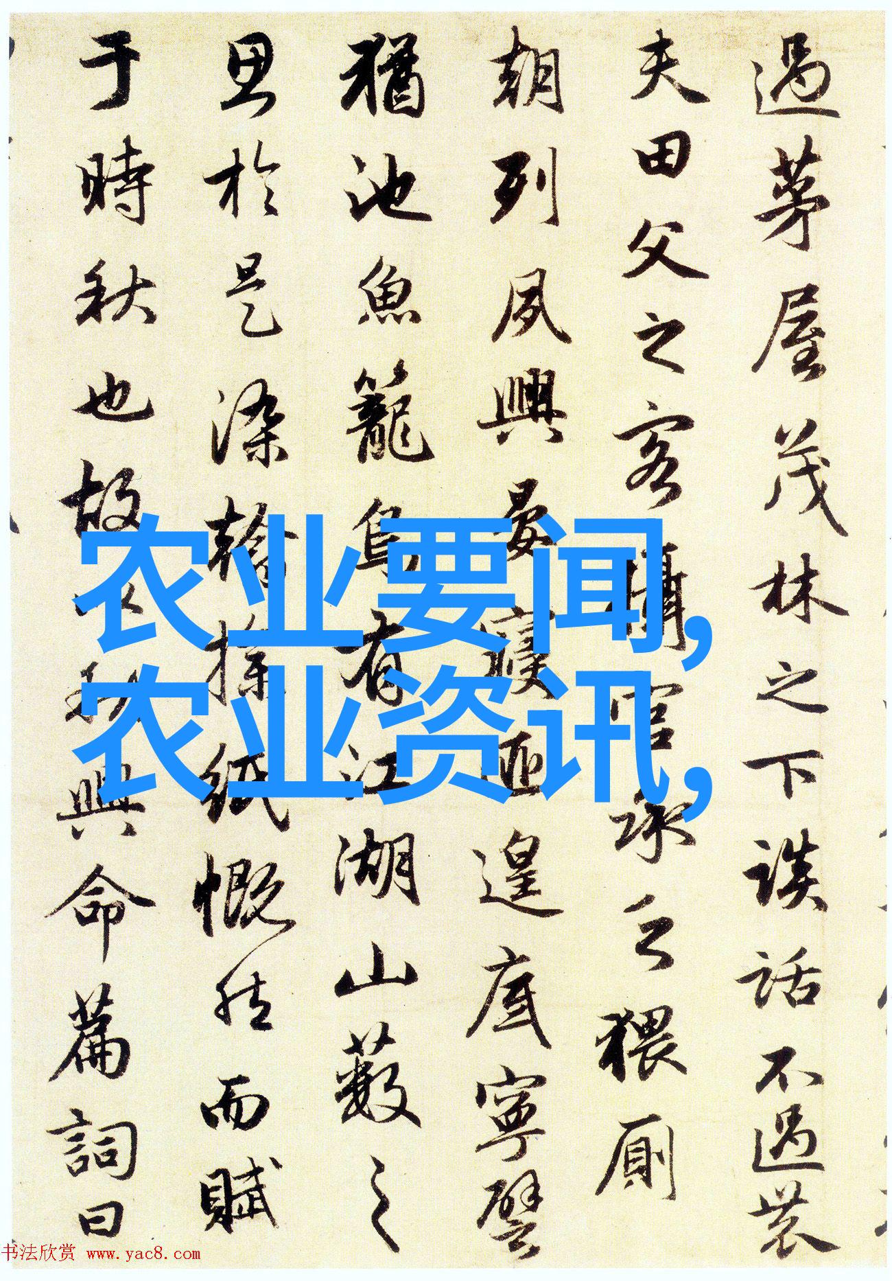花语绘卷鲜花的秘密世界