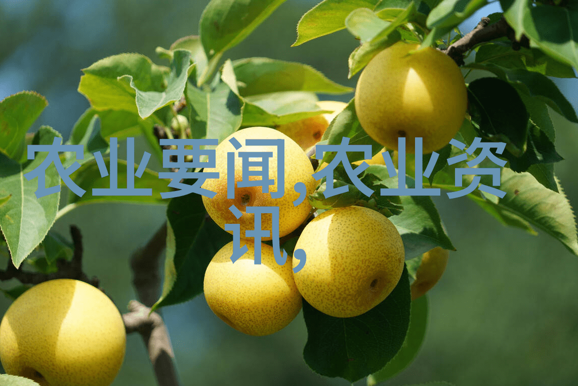 消防车我是如何在火海中遇见一辆救命消防车的