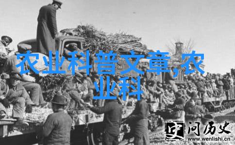 快速致富的秘诀探索短周期高效种植之道