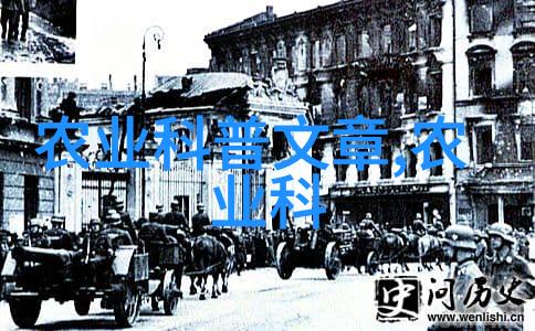 室内金线莲的秘籍如何让它绽放光彩