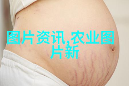 室内植物盆景十大排名绿意盎然的艺术与简约生活的对比