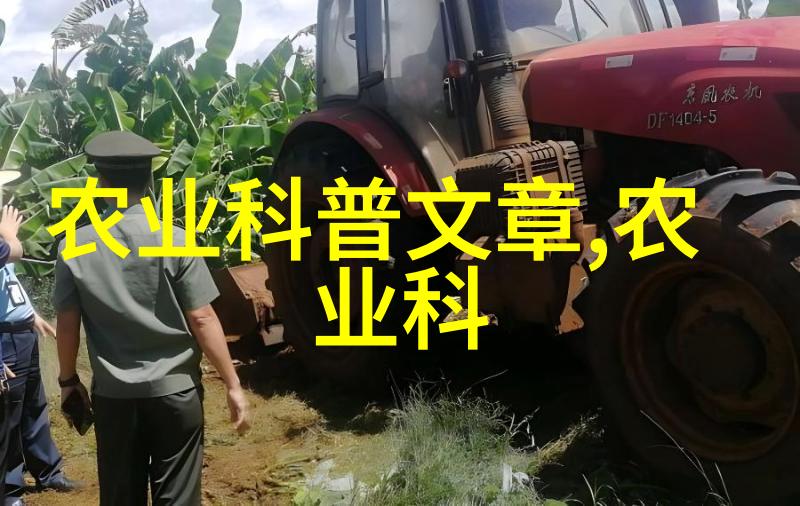欧洲菊苣健康食材中的明星角色