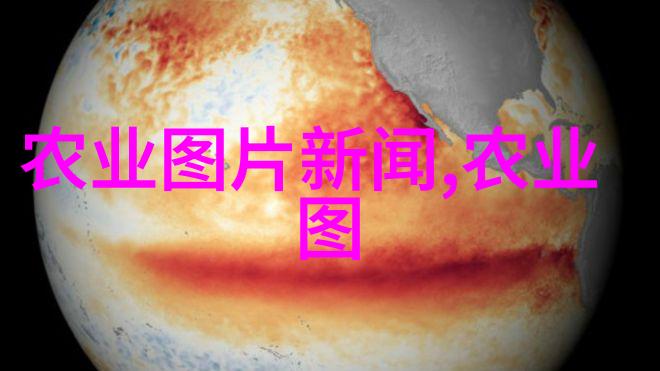 花开十公分玉兰树的秘密价格