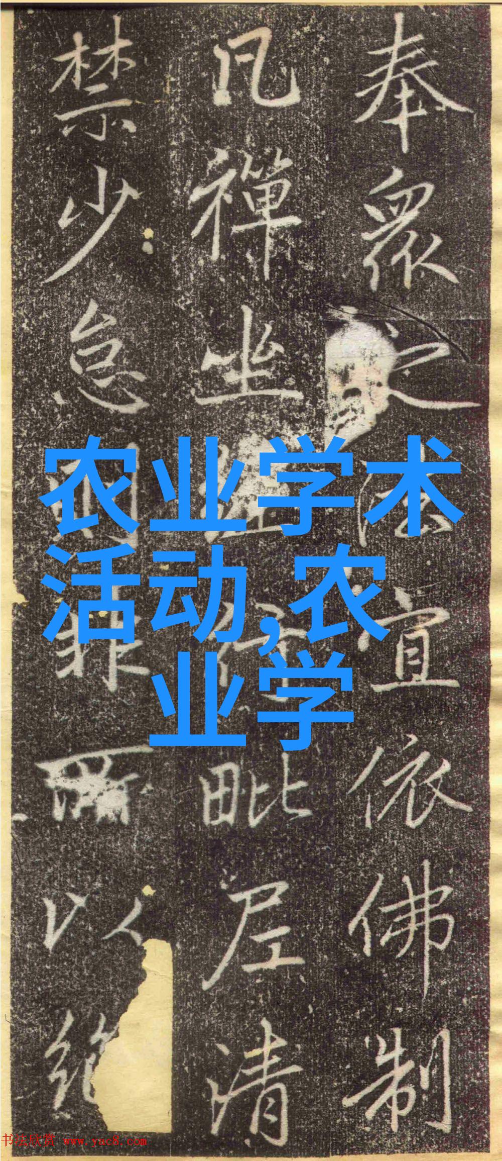 妈妈的美丽探索中文字幕完整高清视频背后的文化与艺术价值